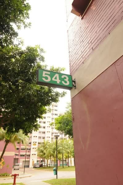 543 Choa Chu Kang Street 52