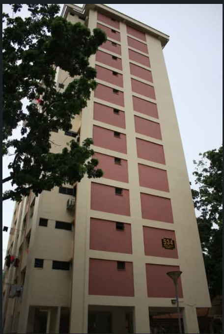 534 Bedok North Street 3 Cozy Neighbourhood Unit